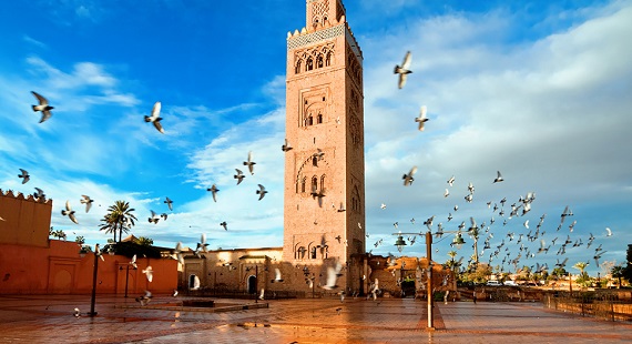 Private taxi in Marrakech — airport transfers, medina tours, Atlas day trips